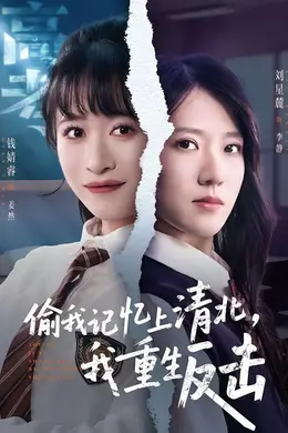 偷我记忆上清北，我重生反击封面图