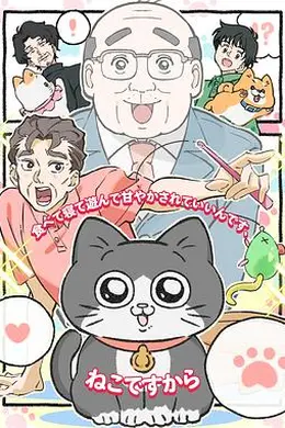 转生成猫的大叔海报图片