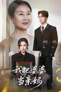 我把婆婆当亲妈海报图片