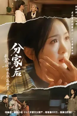 分家后我靠奶奶旧衣服赢麻了海报图片