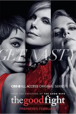 傲骨之战第一季封面图