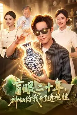 盲眼二十年，神仙给我开了透视挂封面图