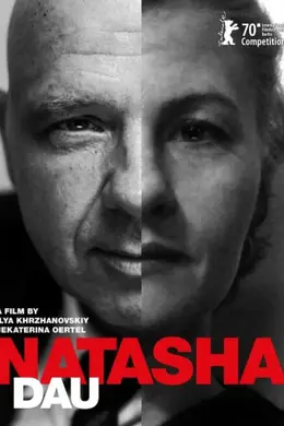 列夫朗道：娜塔莎封面图