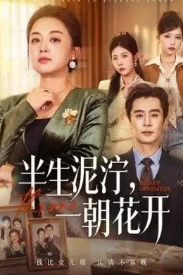 半生泥泞，一朝花开封面图
