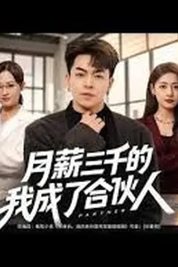 月薪三千的我成了合伙人封面图