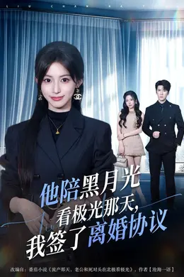 他陪黑月光看极光那天，我签了离婚协议封面图