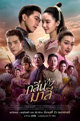 马里花香封面图