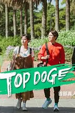 TOP DOG封面图