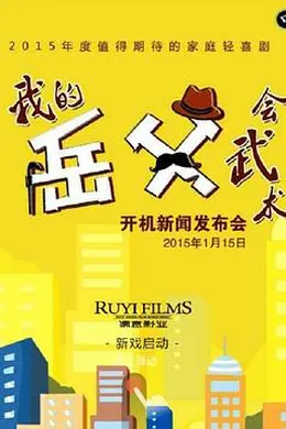 我的岳父会武术封面图