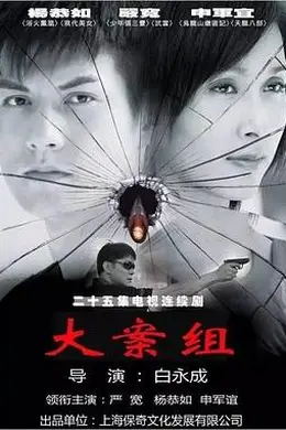 大案组封面图