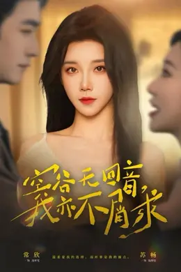 空谷无回音，我亦不屑求海报图片