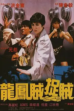 龙凤贼捉贼封面图