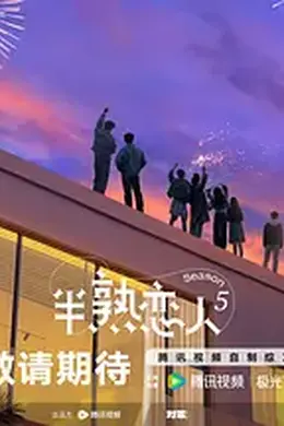 半熟恋人 第五季封面图