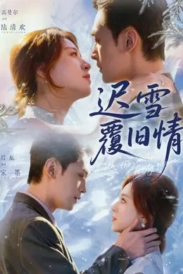 迟雪覆旧情封面图
