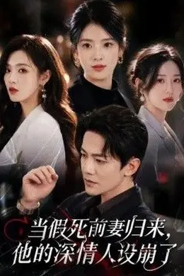 当假死前妻归来，他的深情人设崩了海报图片