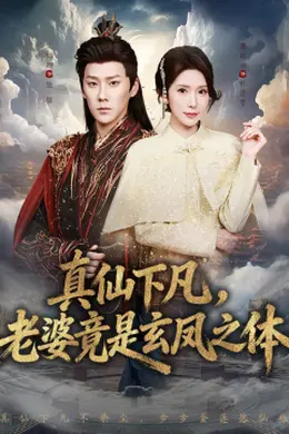 真仙下凡，老婆竟是玄凤之体封面图