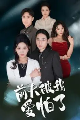 前夫被我爱怕了海报图片