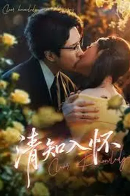 清知入怀海报图片