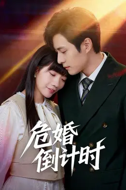 危婚倒计时封面图