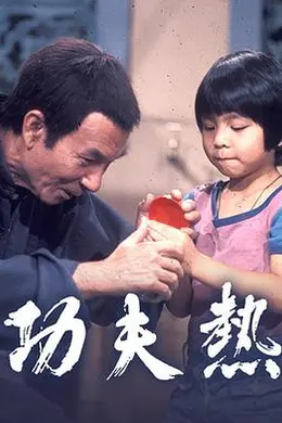 功夫热粤语封面图