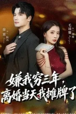 嫌我穷三年，离婚当天我摊牌了封面图
