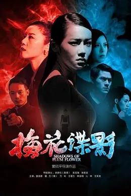 梅花谍影封面图