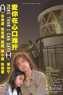 乌龙小子流浪记封面图