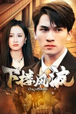 下楼风波海报图片