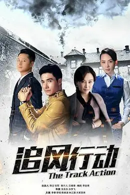 追风行动封面图