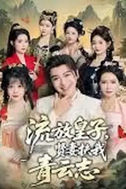 流放皇子，贤妻扶我青云志封面图