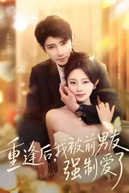 重逢后，我被前男友强制爱了海报图片