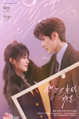 你是迟来的欢喜（2026）封面图