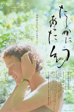 屋久岛的幻梦封面图