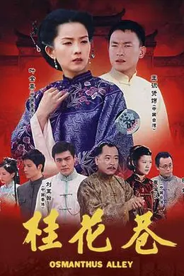 桂花巷2002封面图