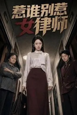 惹谁别惹女律师封面图