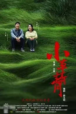 小草青青封面图