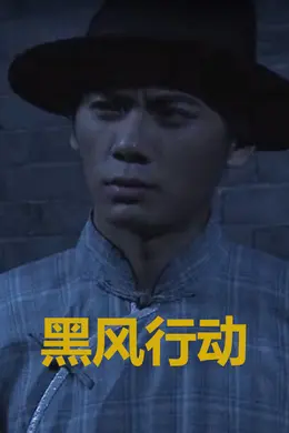 黑风行动封面图