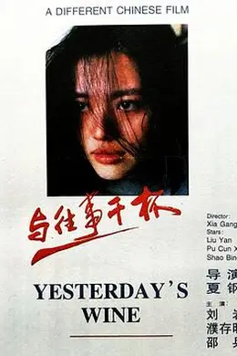 与往事干杯封面图