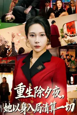 重生除夕夜，她以身入局清算一切封面图