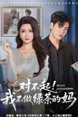 对不起，我不做绿茶的妈海报图片