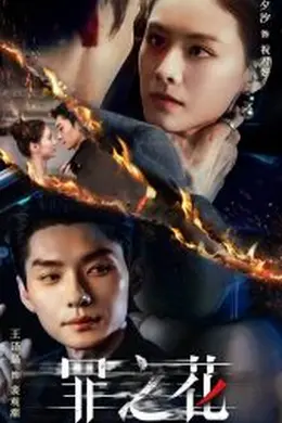 罪之花海报图片