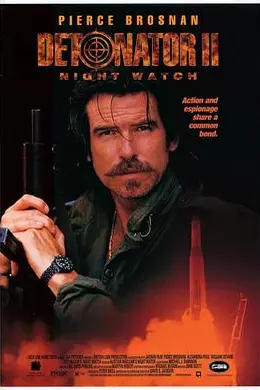 谍网雄风封面图