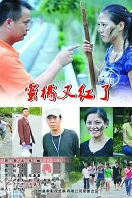 蜜橘又红了封面图