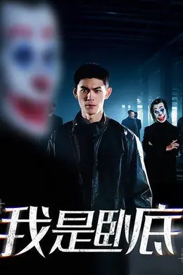 我是卧底封面图