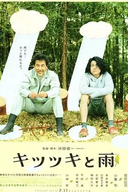 啄木鸟和雨封面图