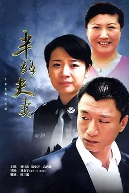 半路夫妻封面图