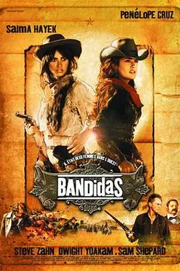 侠盗魅影封面图