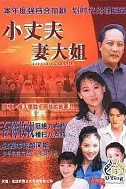 小丈夫 妻大姐海报图片