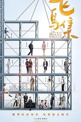 飞鸟集2021封面图