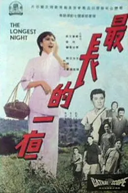 最长的一夜海报图片